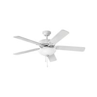 Large Ceiling Fan