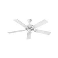 Large Ceiling Fan