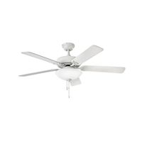 Large Ceiling Fan