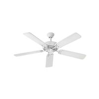 Large Ceiling Fan