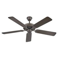 Large Ceiling Fan