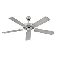 Large Ceiling Fan