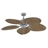 Large Ceiling Fan