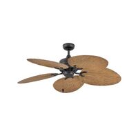 Large Ceiling Fan