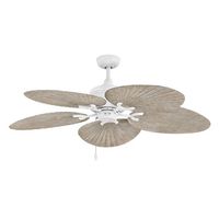 Large Ceiling Fan