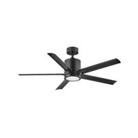 Large Ceiling Fan