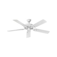 Large Ceiling Fan