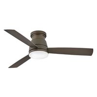 Large Ceiling Fan