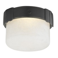 Flush Mount Ceiling Light