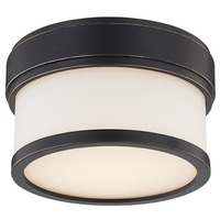 Flush Mount Ceiling Light