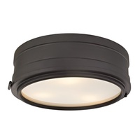 Flush Mount Ceiling Light 14" Width