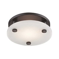 Flush Mount Ceiling Light