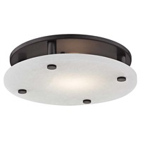 Flush Mount Ceiling Light