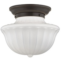 Flush Mount Ceiling Light