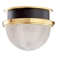 Flush Mount Ceiling Light 9" Width