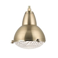 Down Light Pendant 20" Width