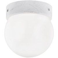 Flush Mount Ceiling Light