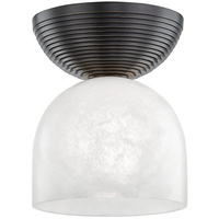 Flush Mount Ceiling Light
