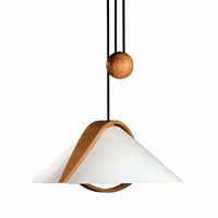 Down Light Pendant 22" Width Down Light Pendant 22" Width