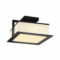 Ceiling Mounted Light 12" Width Ceiling Mounted Light 12" Width