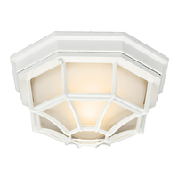 Ceiling Mounted Light 11-1/3" Width Ceiling Mounted Light 11-1/3" Width