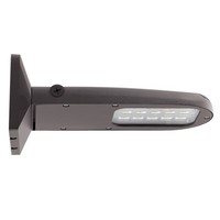 Outdoor Wall Light 6-1/4" Height