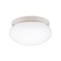 Flush Mount Ceiling Light 9-1/2" Width