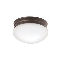 Flush Mount Ceiling Light 9-1/2" Width
