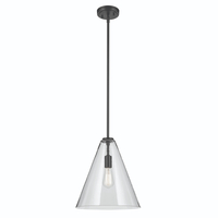 Down Light Pendant 14-1/4" Width