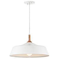 Down Light Pendant 16-1/2" Width Down Light Pendant 16-1/2" Width