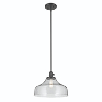 Down Light Pendant 14-1/2" Width