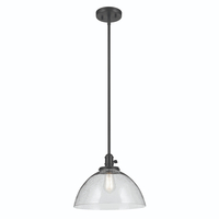 Down Light Pendant 14" Width