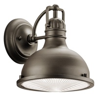 Outdoor Wall Light 9-1/2" Height