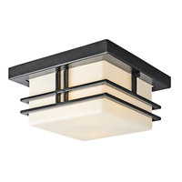 Ceiling Mounted Light 11-1/2" Width Ceiling Mounted Light 11-1/2" Width