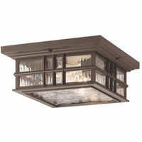 Ceiling Mounted Light Ceiling Mounted Light