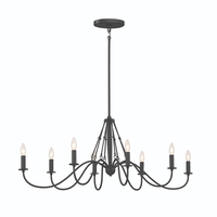Large Foyer Chandelier 20" Width