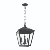 Multi Light Pendant 12-1/2" Width