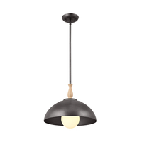 Down Light Pendant 14" Width