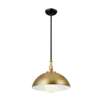 Down Light Pendant 14" Width