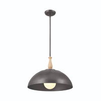 Down Light Pendant 18" Width