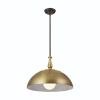 Down Light Pendant 18" Width