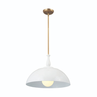 Down Light Pendant 18" Width