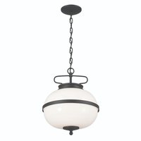 Multi Light Pendant 12-1/4" Width