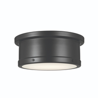 Flush Mount Ceiling Light 14-1/4" Width