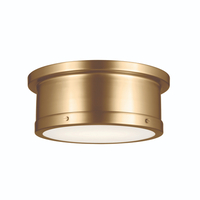Flush Mount Ceiling Light 14-1/4" Width