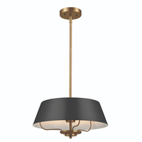 Multi Light Pendant 16" Width