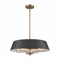 Multi Light Pendant 22" Width