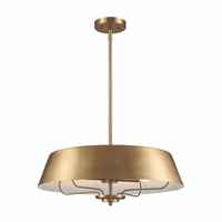 Multi Light Pendant 22" Width