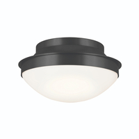 Flush Mount Ceiling Light 13-1/2" Width