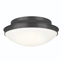 Flush Mount Ceiling Light 17-3/4" Width
